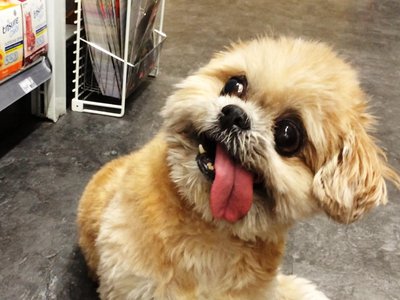 Article featured image