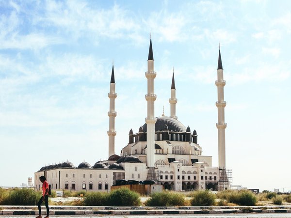 Article featured image