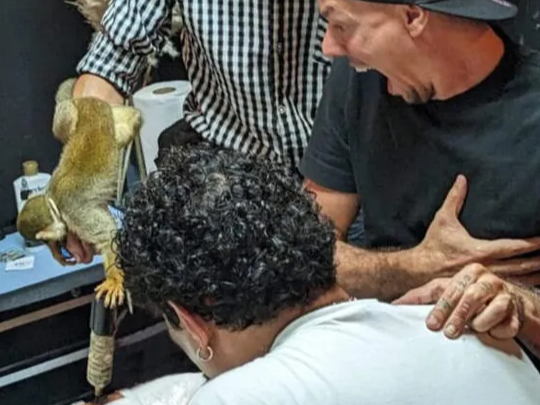 Article featured image