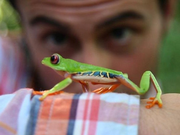 Article featured image