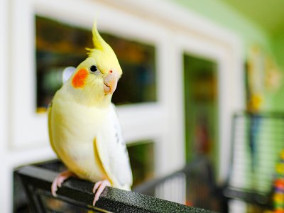 Article featured image