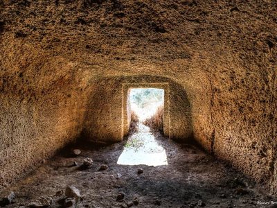 Article featured image