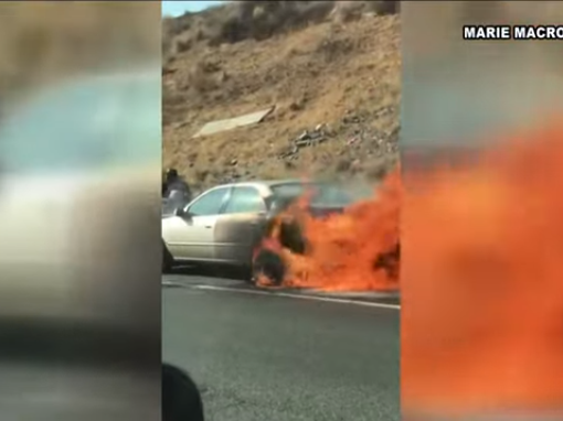 Article featured image