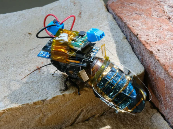 Article featured image