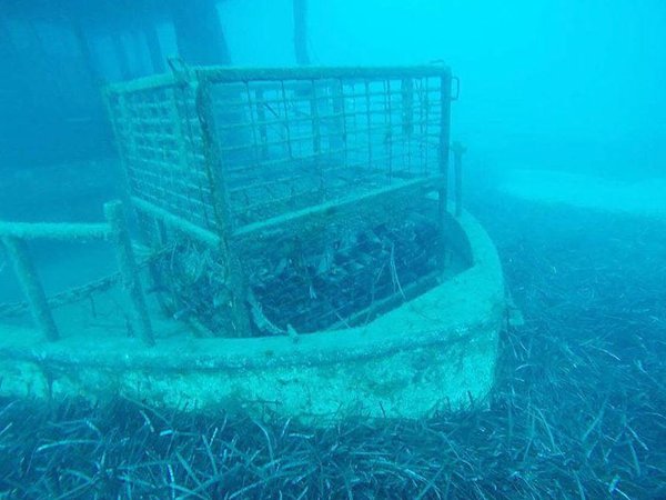 Article featured image