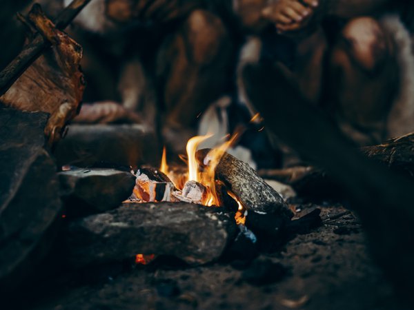Article featured image