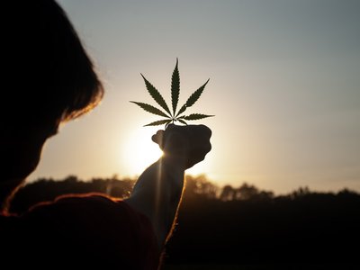 Article featured image