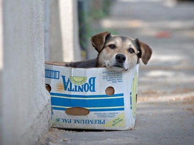 Article featured image