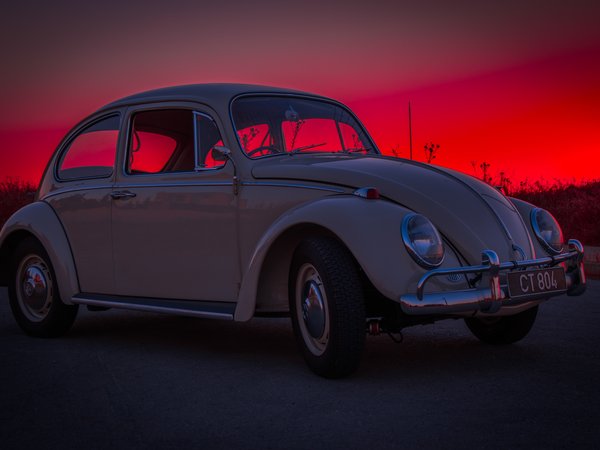 Article featured image