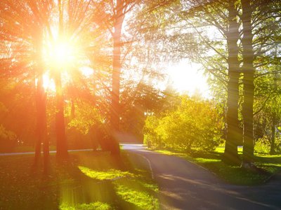 Article featured image