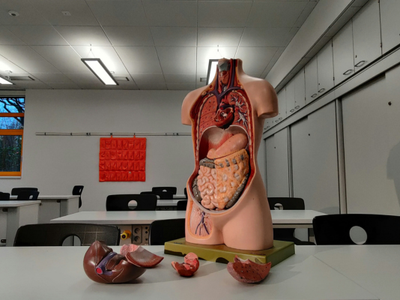 Article featured image