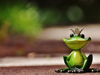 Article featured image