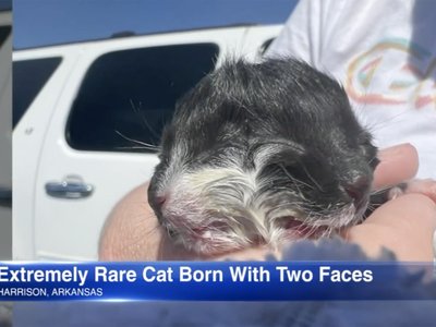 Article featured image
