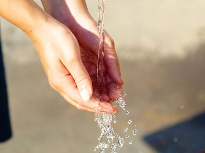 Article featured image