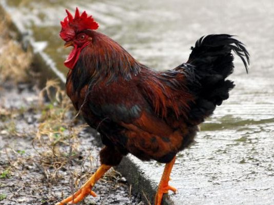 Article featured image