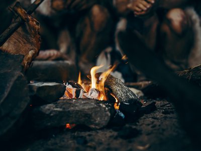 Article featured image
