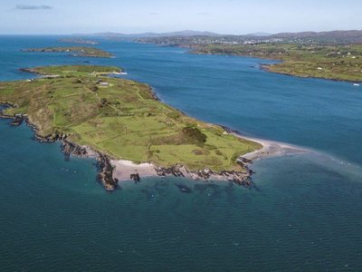 Article featured image