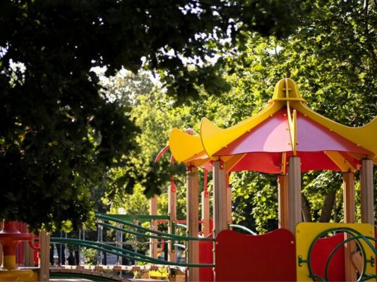 Article featured image