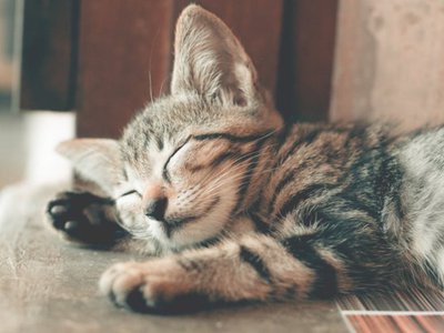 Article featured image