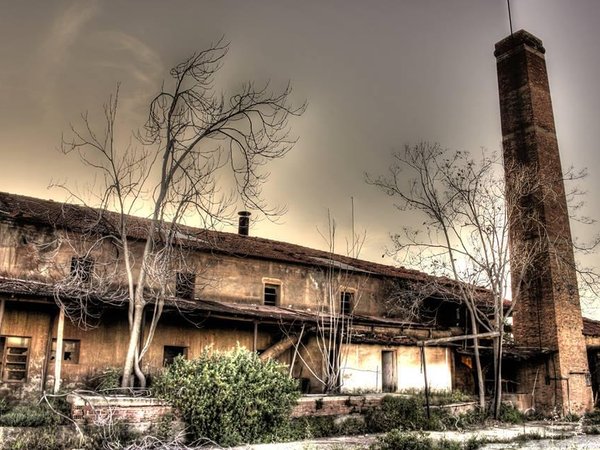 Article featured image