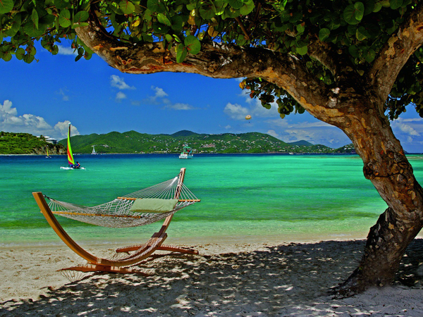 Article featured image