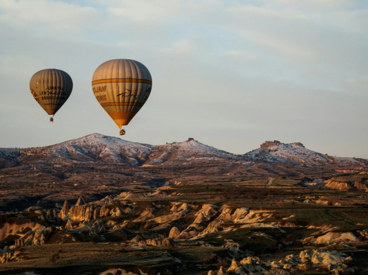 Article featured image