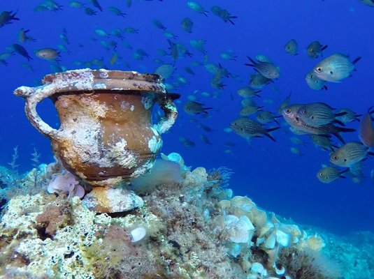 Article featured image
