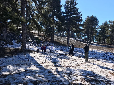 Article featured image