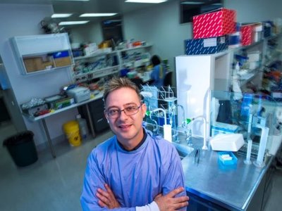 Article featured image