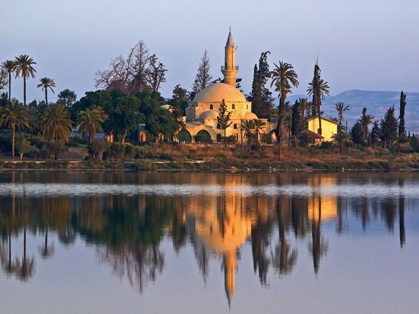 Article featured image