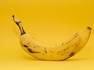 Article featured image
