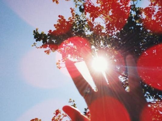 Article featured image