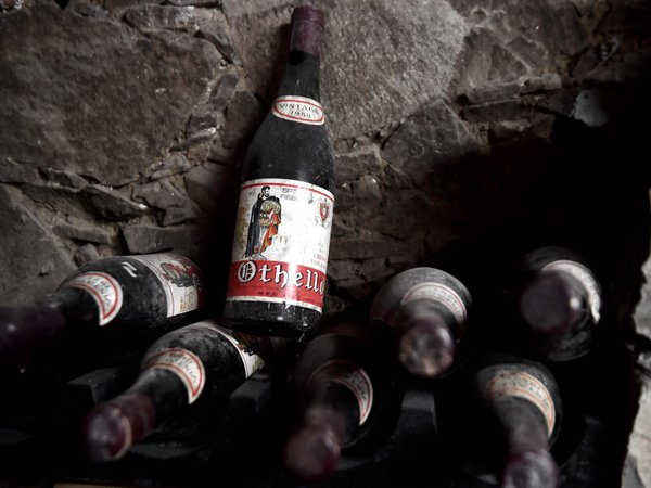 Article featured image