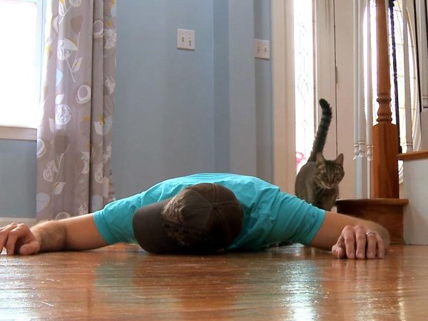 Article featured image