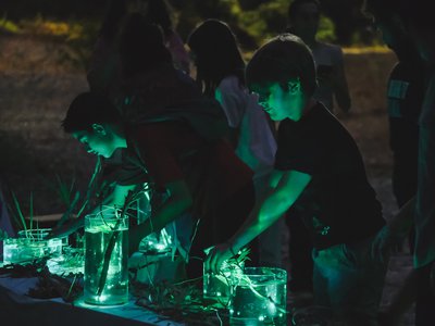 Article featured image
