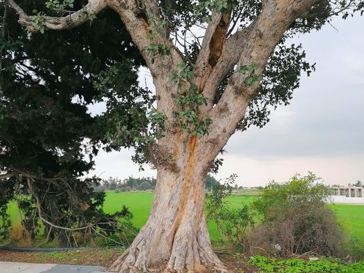 Article featured image