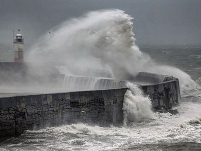 Article featured image