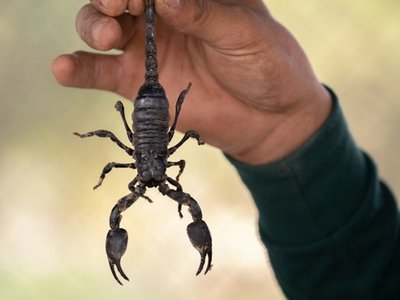 Article featured image
