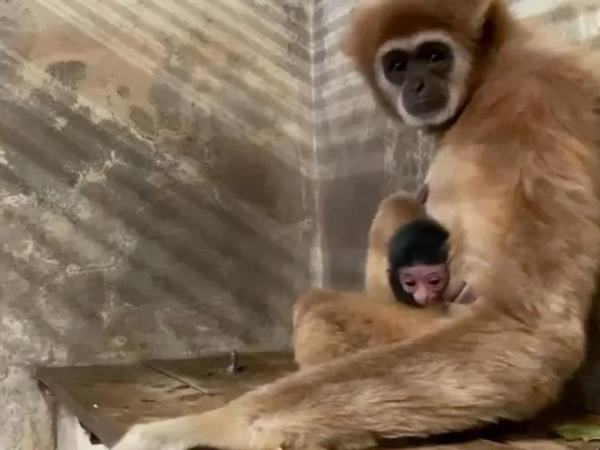 Article featured image