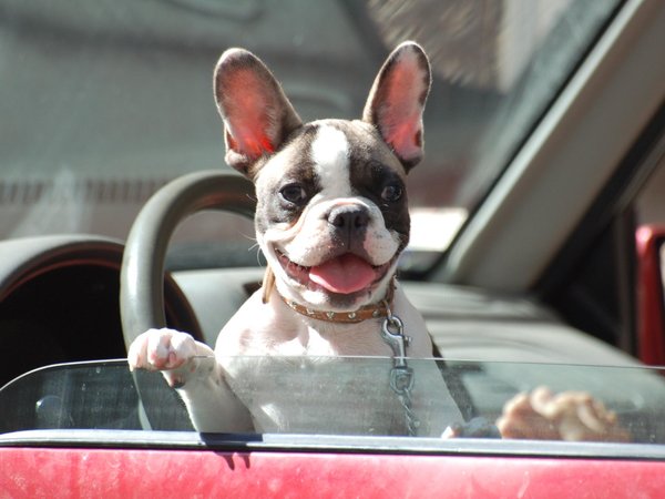 Article featured image