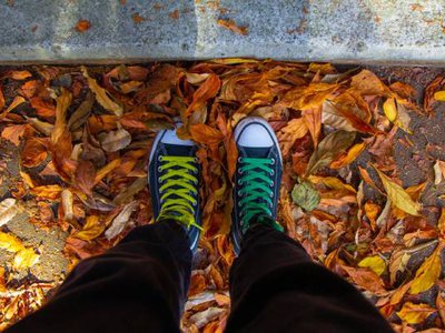 Article featured image