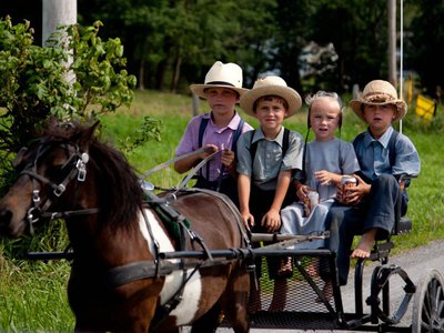 Article featured image