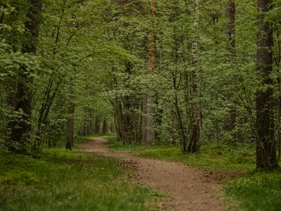Article featured image