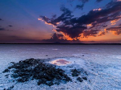 Article featured image