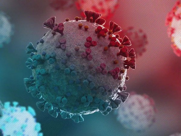 Article featured image