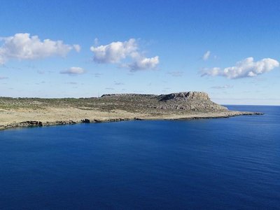 Article featured image