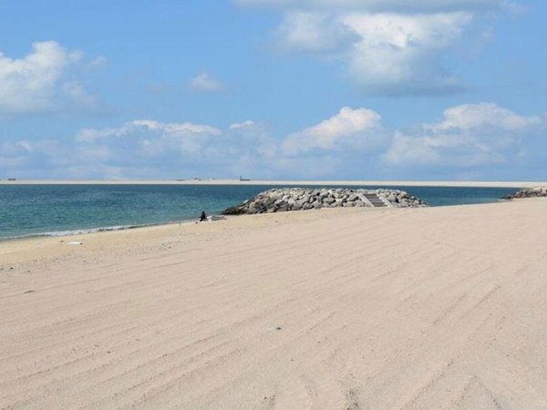 Article featured image