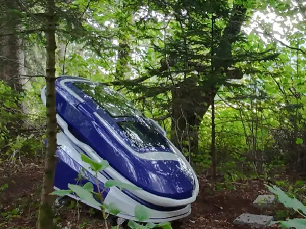 Article featured image