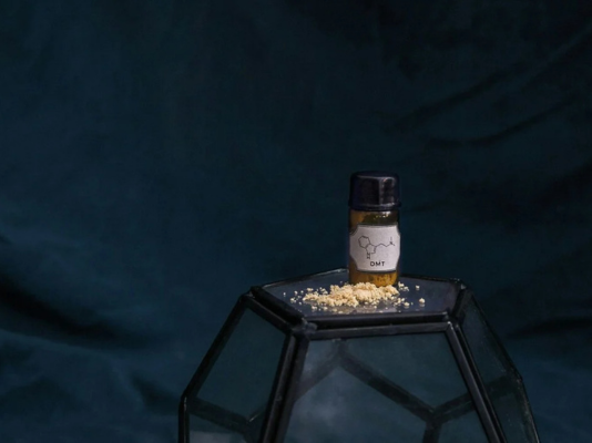 Article featured image