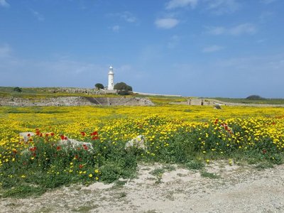 Article featured image